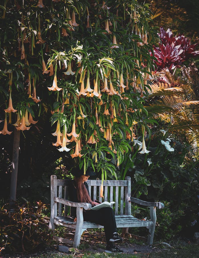 A person sitting on a bench under a tree with a lot of flowers